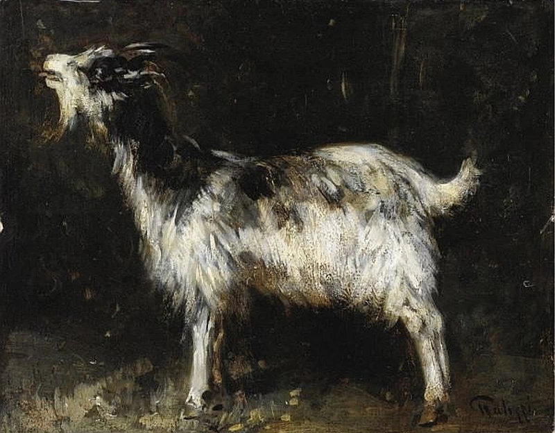 Capretta